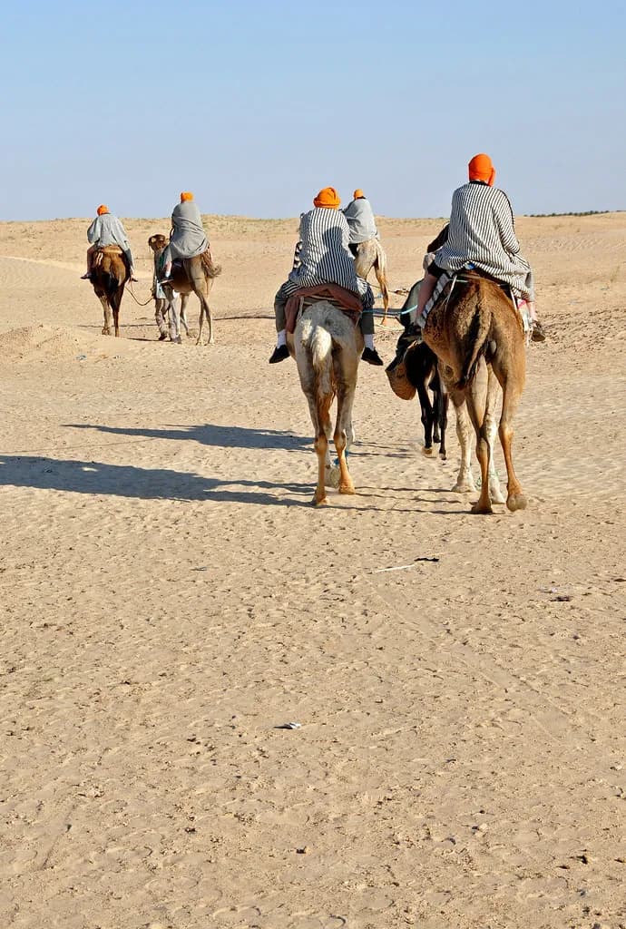 Evening Desert Safari Abu Dhabi photo 4