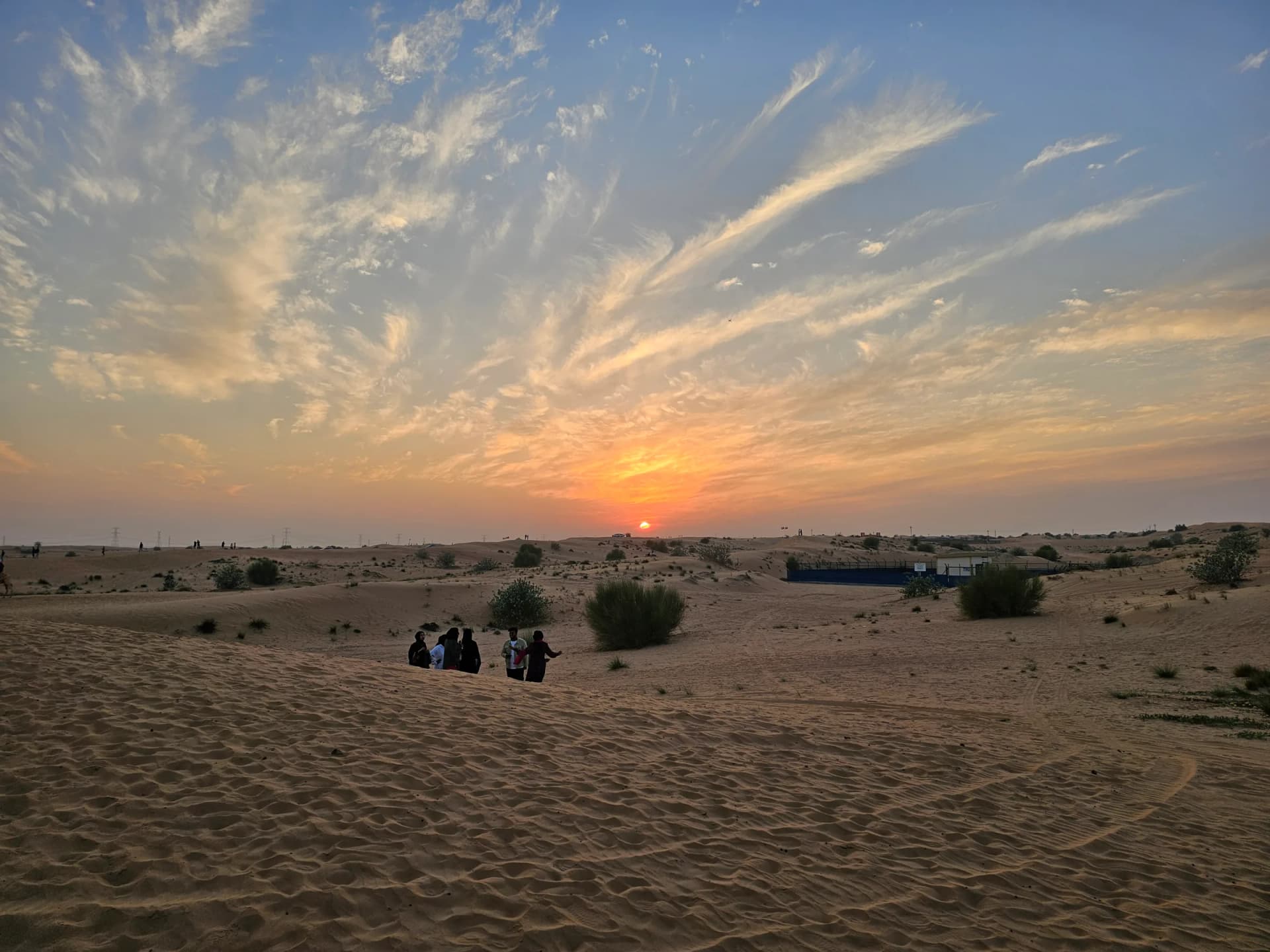Evening Desert Safari Abu Dhabi