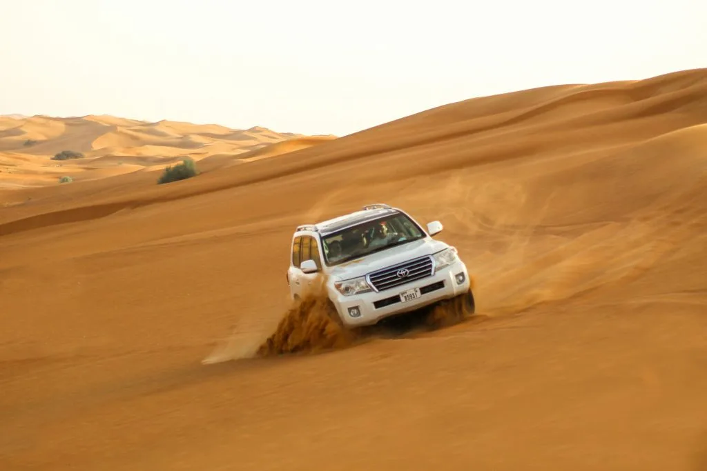 Evening Desert Safari Dubai photo 6