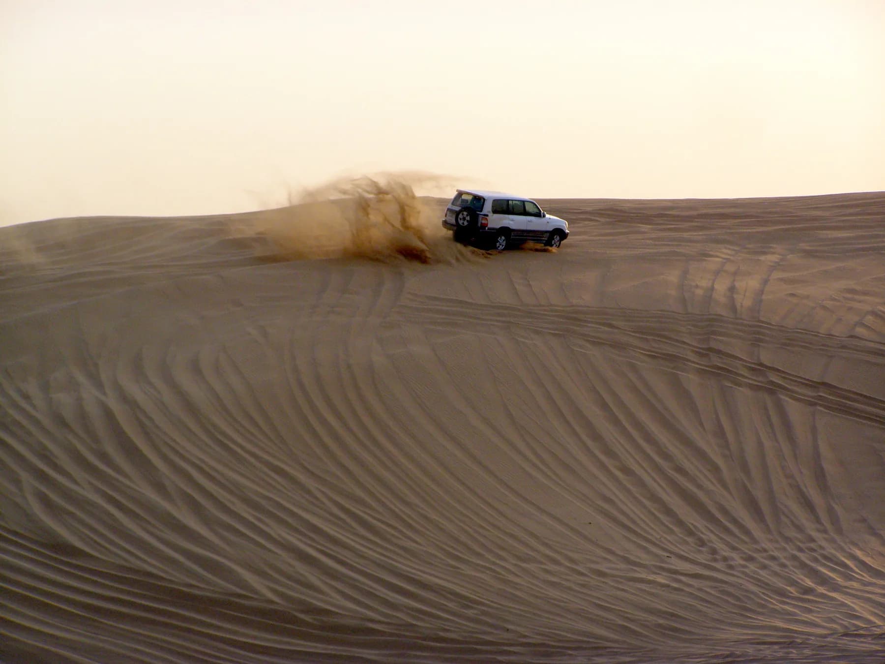 Evening Desert Safari Dubai photo 2