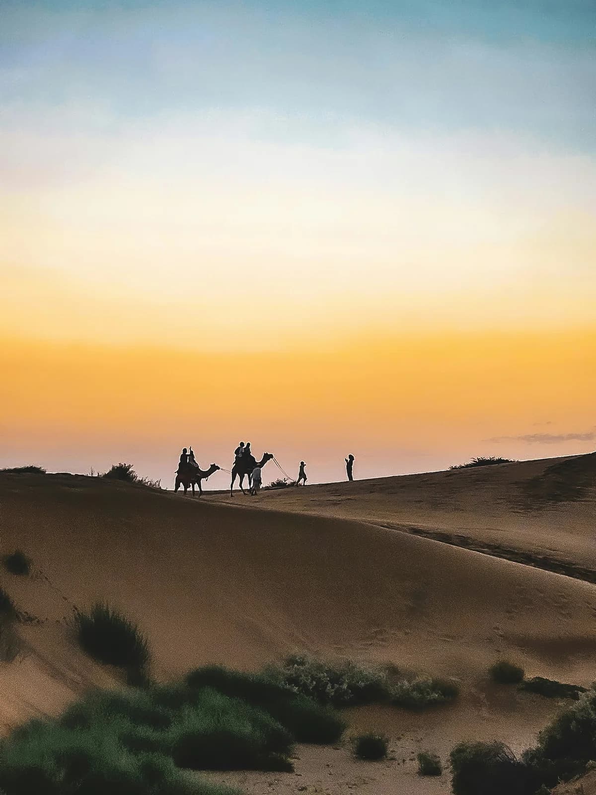 Golden hour on the ridge